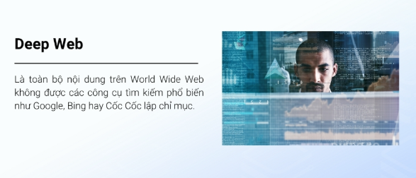 Deep Web, Dark Web, website